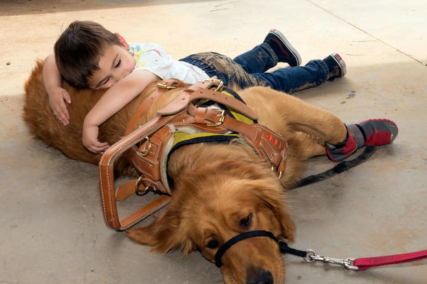 Hunter Codding, 4, bonds with his service dog, Indy, at Fowler Park on Luke Air Force Base, Ariz. (U.S. Air Force/Clinton Atkins)