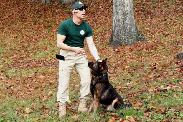 Shawn Deehan, president and founder of Global Dynamic Security, prepares to send Bojar, a Czechoslovakian detection dog, on the hunt for Semtex explosive residue during a training demonstration on the GDS wooded compound near Fredericksburg, Virginia.