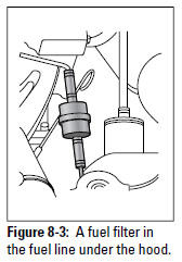 Figure 8-3: A fuel filter in the fuel line under the hood.