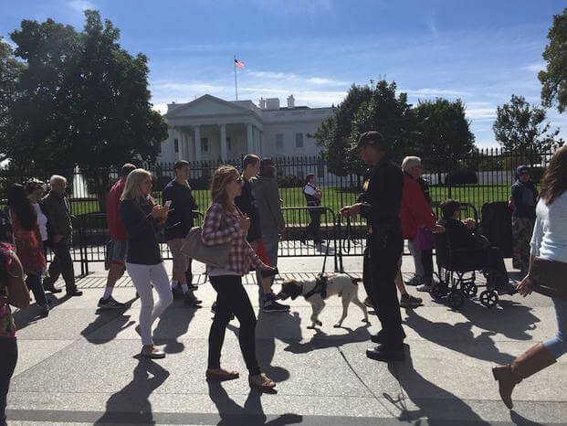 Friendy Dogs walk among the crowds outside the White House fence to sniff for explosives on people (Photo courtesy of Maria Goodavage).