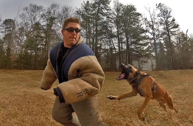 ERT canine handlers and dogs train in a variety of settings (photo courtesy of Stew).