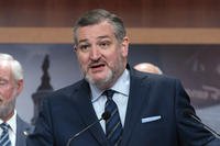 Sen. Ted Cruz, R-Texas, speaks during a news conference on Capitol Hill in Washington.