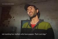 Kharkiv Shelter Finds New Homes for Animals Amid Ukraine War