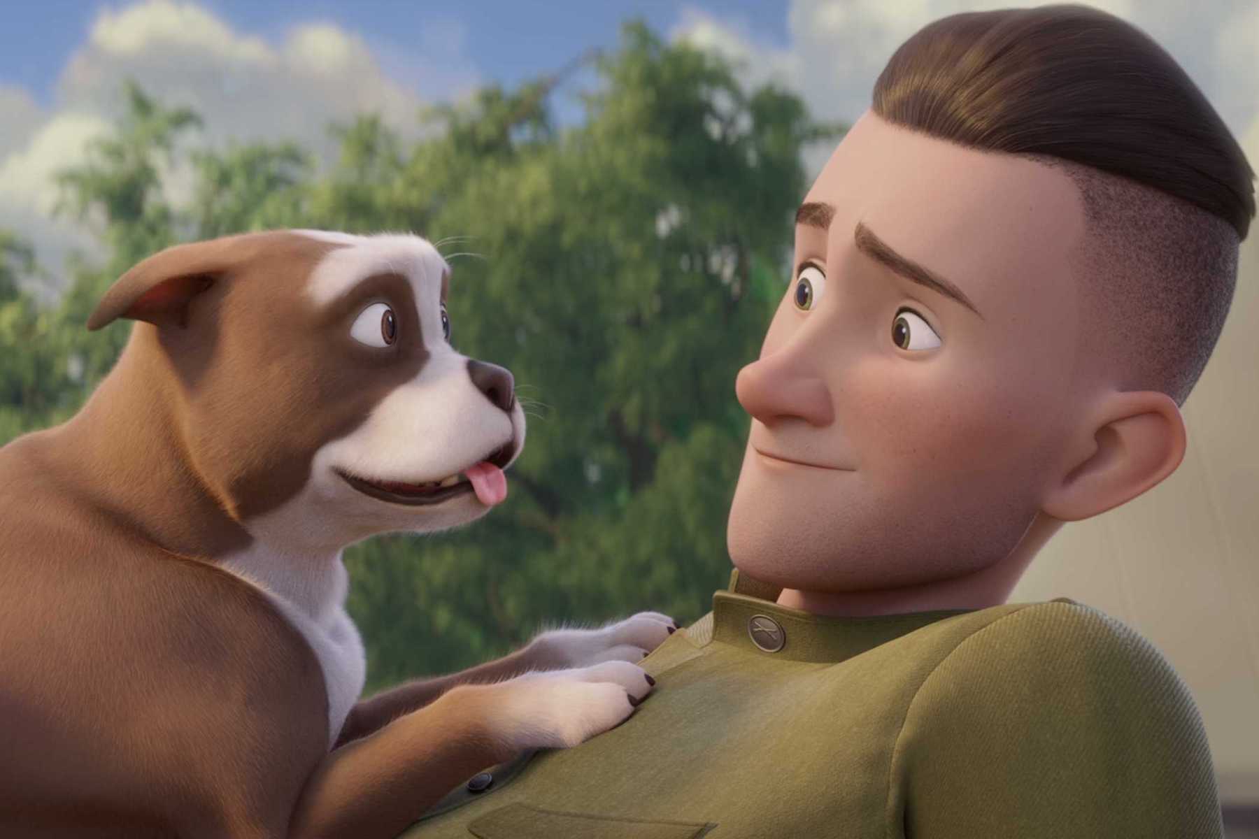 stubby the war dog book