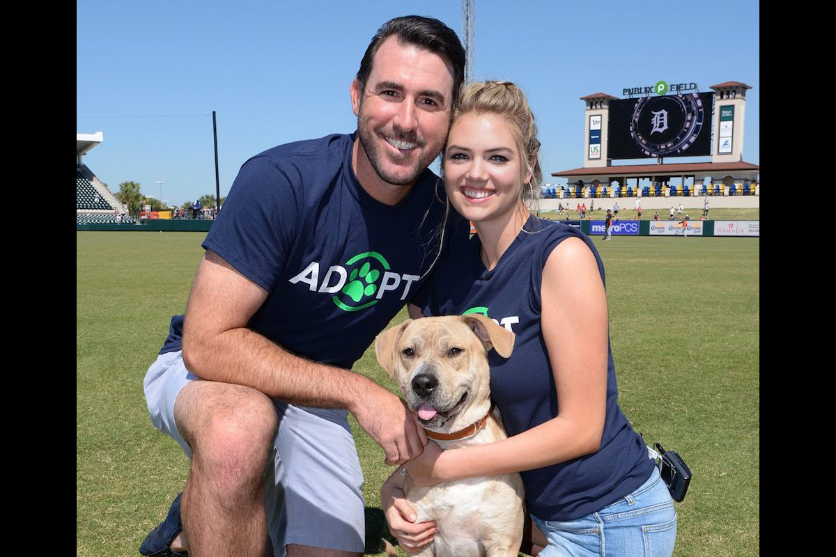 Justin Verlander Kate Upton Unite Service Dogs With Ailing