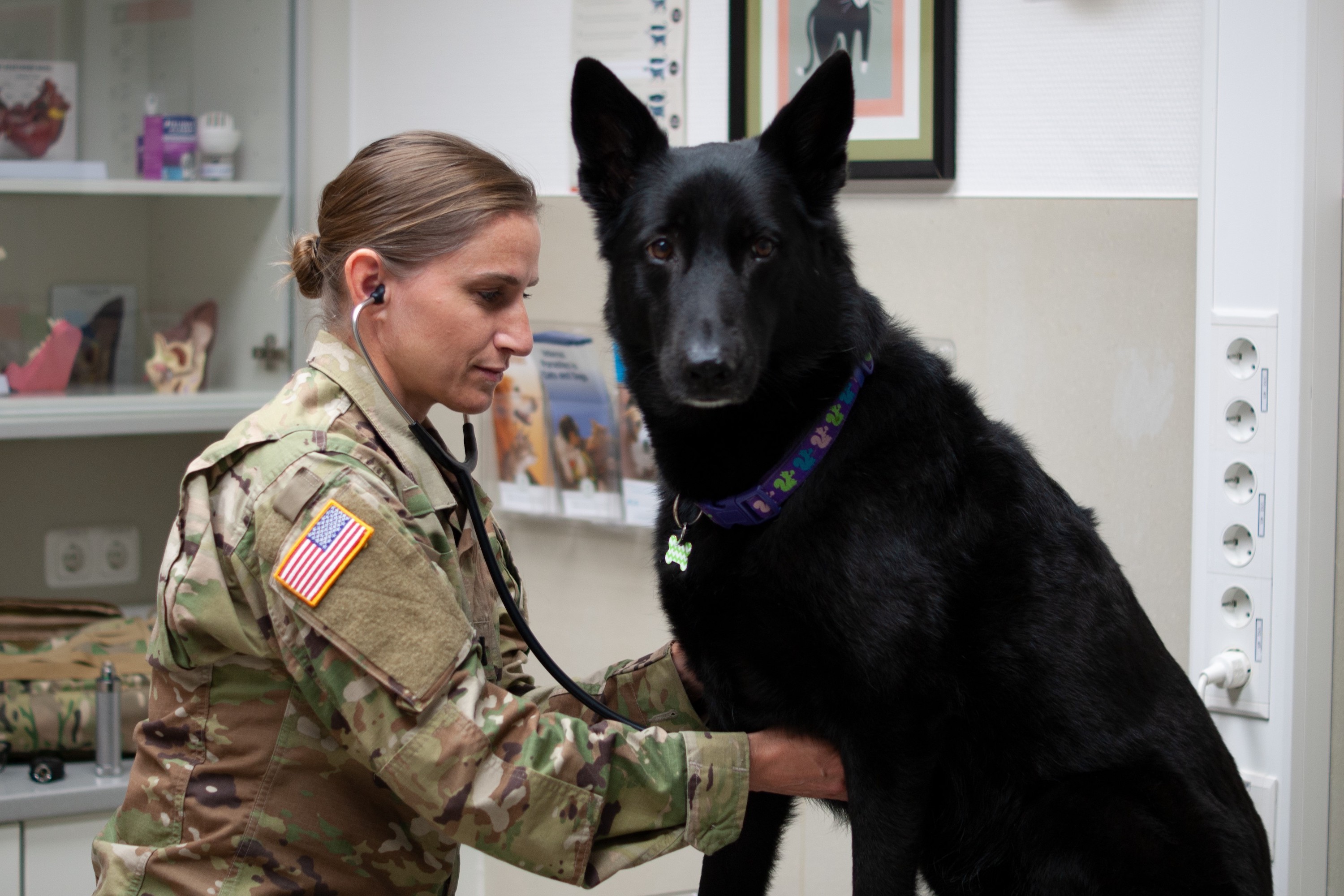 army-veterinarian-salary