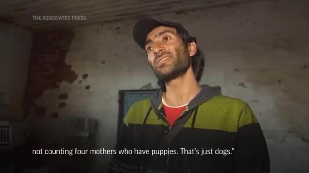 Kharkiv Shelter Finds New Homes for Animals Amid Ukraine War