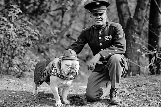 chesty puller funny