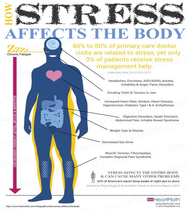 Longevity is the Mastery of Recovery – Stew Smith Fitness