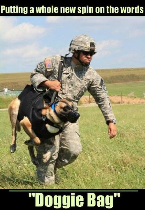8 Funny Working Dog Memes That'll Make You Wag Your Tail | Military.com
