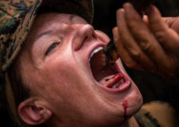 A U.S. Marine drinks the blood of a king cobra as part of jungle survival training during exercise Cobra Gold at Ban Chan Krem, Feb. 14, 2019, in Chanta Buri, Kingdom of Thailand. (Matthew J. Bragg/Marine Corps)