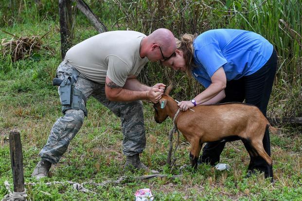 U.S. Air Force Staff Sgt. Caleb Baumcratz, security forces fire team member assigned to the 911th Airlift Wing, and Amanda Hedman, registered veterinary technician from World Vets, vaccinates a local goat during a Veterinary Medical Readiness Training Exercise during New Horizons exercise 2019 in Linden, Guyana, July 9, 2019. (Derek Seifert/U.S. Air Force)