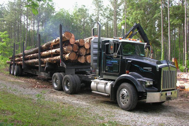 Logging truck. 