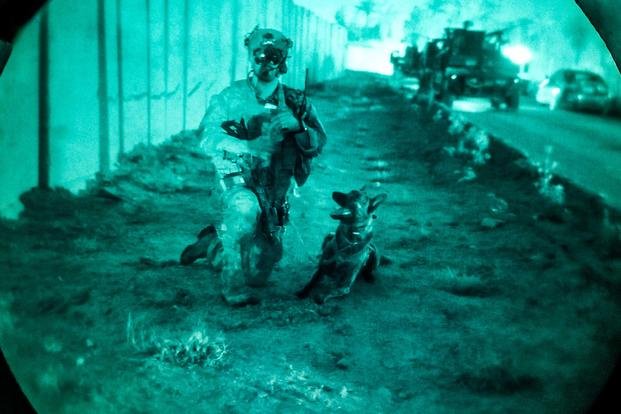 Military Working Dog with Green Berets and Special Forces