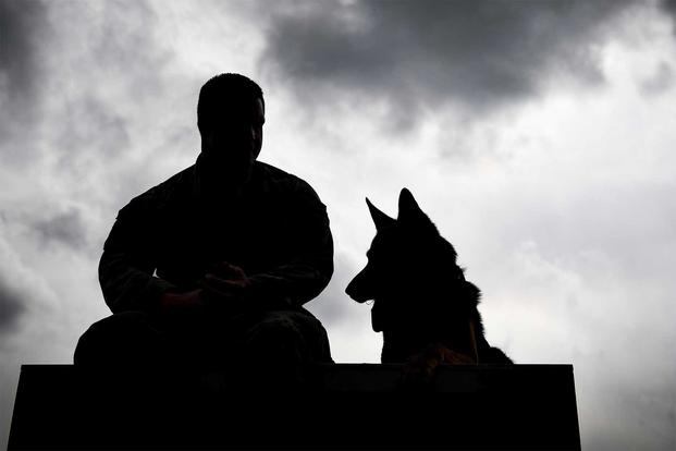 An airman sits with his military working dog at Joint Base Charleston, S.C., Feb. 11, 2020. (U.S. Air Force)