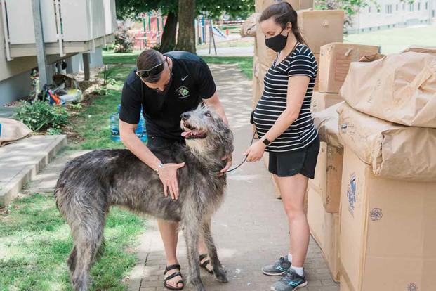 Lt. Col. David Chapman and his expectant wife, Jaime, with their 152 pound Irish wolfhound, Wally, during their household goods pack out May 20, 2020.