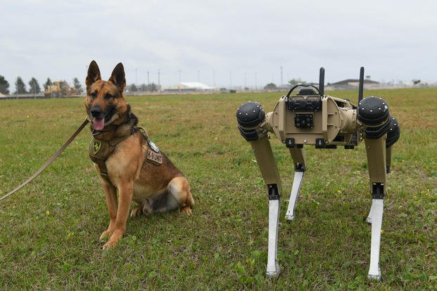 military working dog next to a Quad-legged Unmanned Ground Vehicle Tyndall Air Force Base