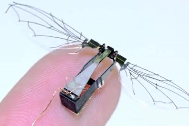 The Air Force Is Developing Bird-Like Microdrones with Flapping