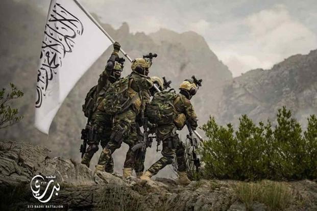 In an Image Mocking the Marines, the Taliban Shows Off New Propaganda Savvy  