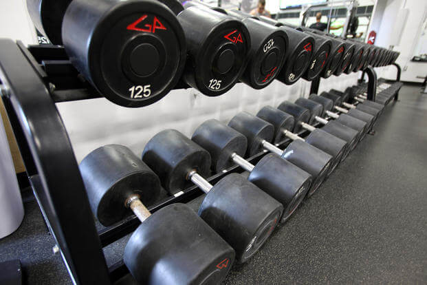 Dumbbells are lined up on a weight rack.