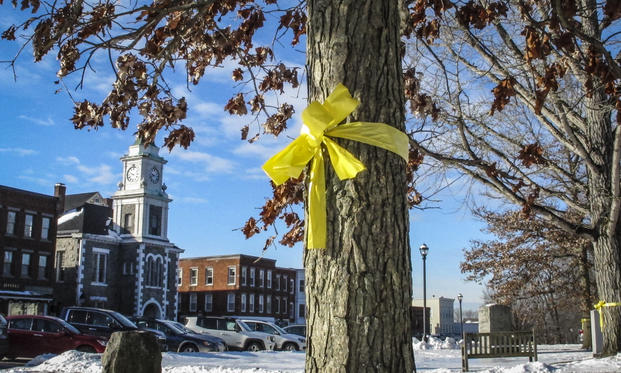 Yellow ribbons honoring U.S. military members in  Litchfield Conn.