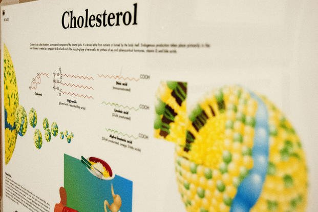 A poster explains the dangers of high cholesterol.