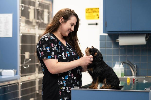A military spouse and vet tech examines a dog. 