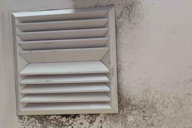 Photo taken at Fort Stewart shows a build-up of mold near a vent. 