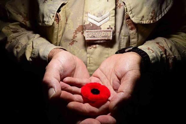 the Red Poppy Symbol of Remembrance for Troops Everywhere | Military.com