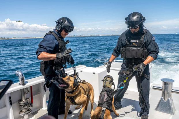 Two Coast Guard K9 handlers and their canine partners.