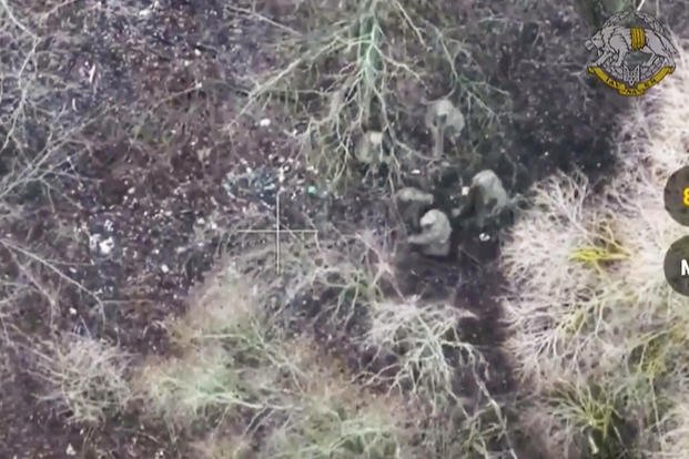 Ukrainian forces capturing two North Korean soldiers fighting alongside Russian forces