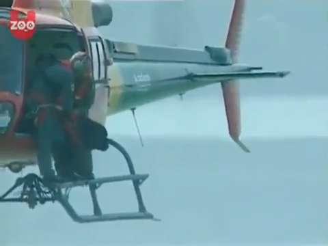 Newfoundland dog sale helicopter