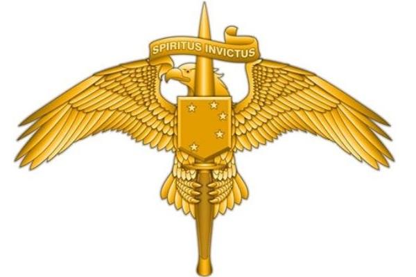 Spanish Faculty sword Marine Special Operators Get Their Own Insignia Pin | Military.com