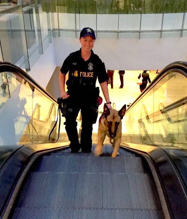 Kim K. and her explosives sniffer Astra at work at a conference where the president will be speaking (photo courtesy of Maria Goodavage).