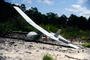 RQ-11B Raven