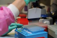 An 81st Medical Operations Squadron molecular technologist uses a multi-channel pipetting technique to prepare patient DNA for testing at the 81st Medical Group’s genetics center Mar. 16, 2016, Keesler Air Force Base, Miss. (U.S. Air Force/Kemberly Groue)