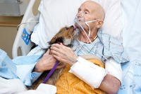 Marine veteran John Vincent was reunited with his dog, Patch. (Albuquerque Animal Welfare Department)