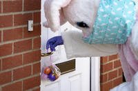 easter bunny putting a bag of eggs on front door