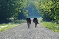 2 hikers on a tree-lined trail