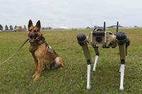 military working dog next to a Quad-legged Unmanned Ground Vehicle Tyndall Air Force Base