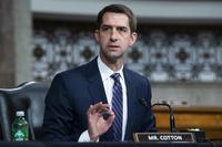 Sen. Tom Cotton Senate Judiciary Committee hearing