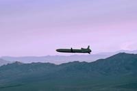An unarmed AGM-86B Air-Launched Cruise Missile.