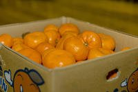 A box of oranges