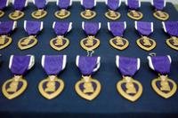 An array of Purple Heart medals laid out on velvet background