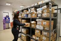 U.S. Army Garrison Benelux postal workers at Chièvres Air Base, Belgium.