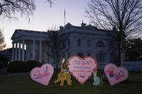 Valentine's Day decorations adorn the White House lawn