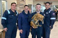 Four marine inspectors from the U.S. Coast Guard Sector Houston-Galveston find dog.