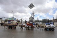 Palestinians flee from the eastern side of the Gaza city of Rafah