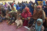 Women and children who were held captive by islamic extremists, and rescued by the Nigerian army