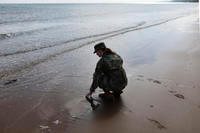 An American soldier touches the sand on Omaha Beach